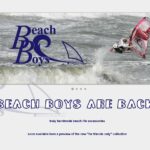 Beach Boys are back